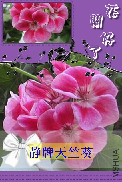 http_imgloadCA2IAS9I.jpg