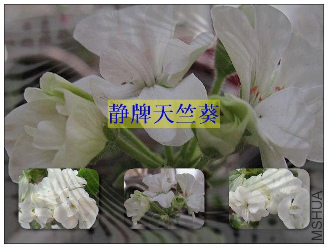 http_imgloadCA3SUSYW.jpg