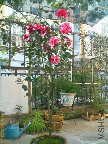 ������С ��ת IMAGE_746.jpg