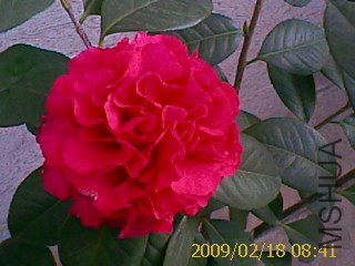IMAGE_759.jpg