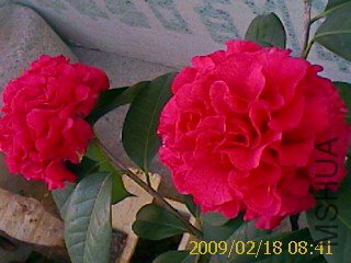 IMAGE_760.jpg