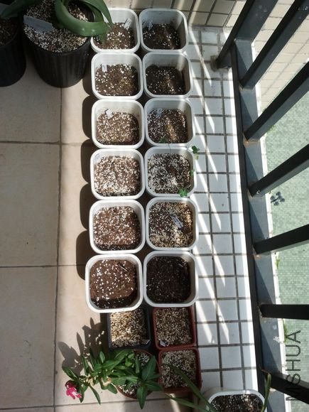 2011-08-28 14.32.44.jpg