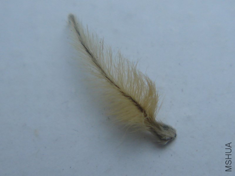 DSC07536_800x600.JPG