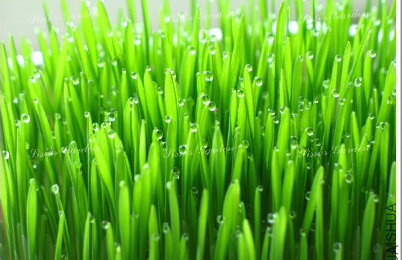 110609 С�� 1.jpg