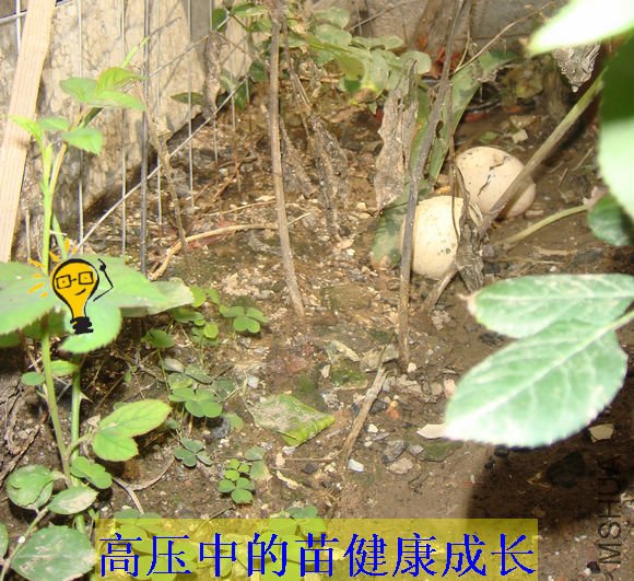DSC03755.JPG