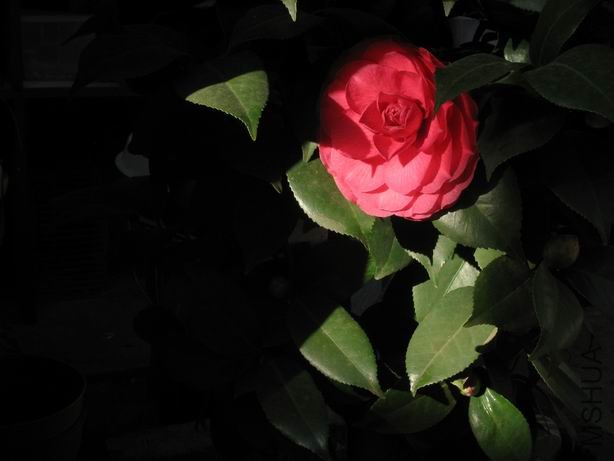 ������С ��Ƭ 104.jpg