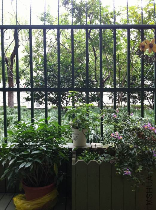 ������С ����ǹ�����.jpg