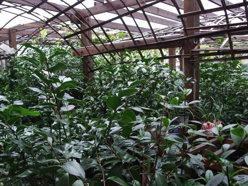 ��Ƭ11-8-25f 00111.jpg