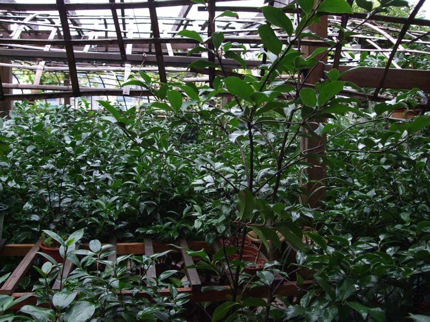 ��Ƭ11-8-25f 00211.jpg