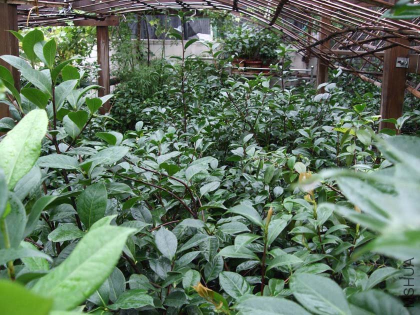 ��Ƭ11-8-25f 00811.jpg