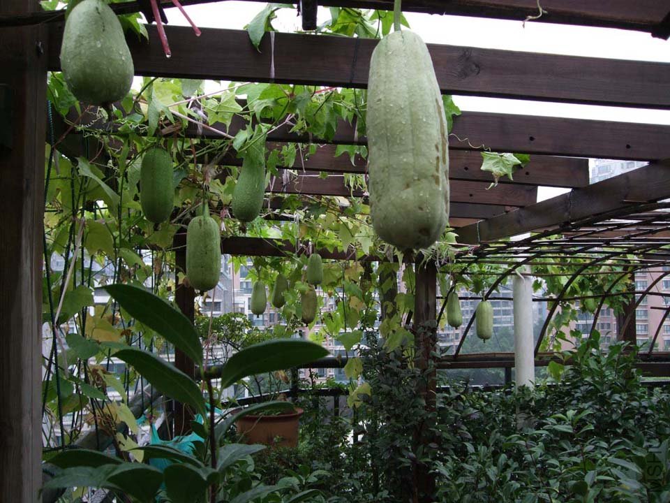 ��Ƭ11-8-25f 01411.jpg