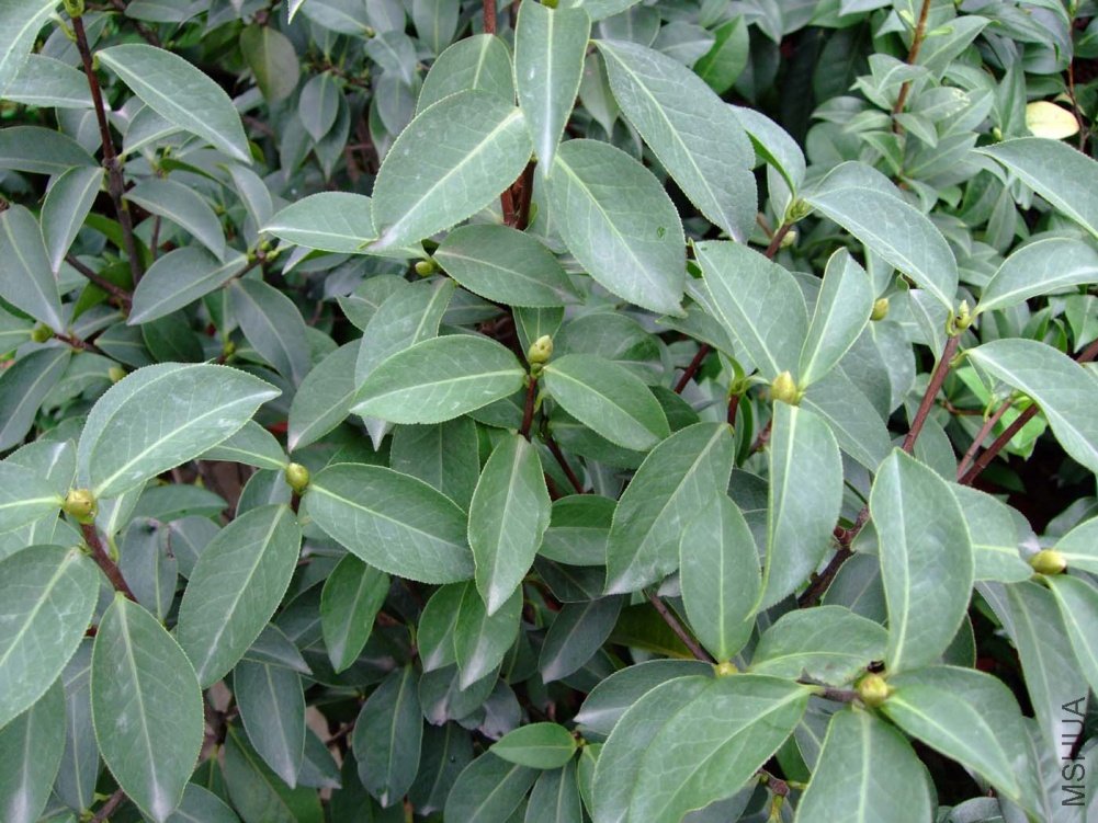 �����Ϲ�2011-8-29 .jpg