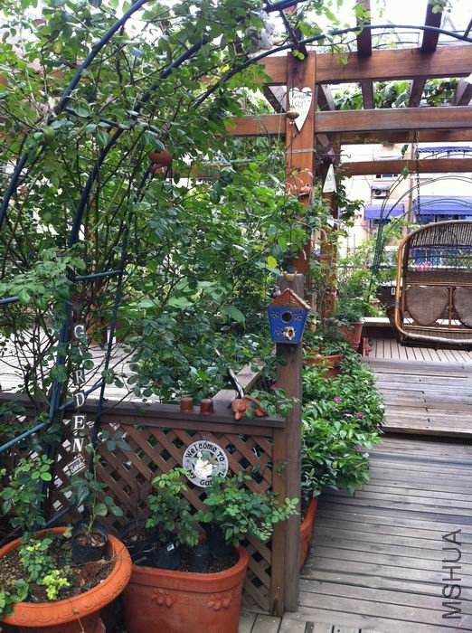 ������ŷ�� ���ֵ�����.jpg