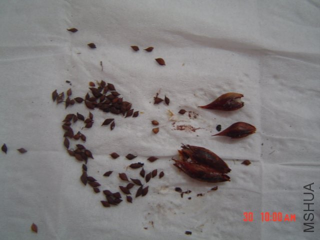 DSC02073.JPG