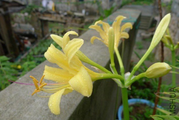 A6.jpg