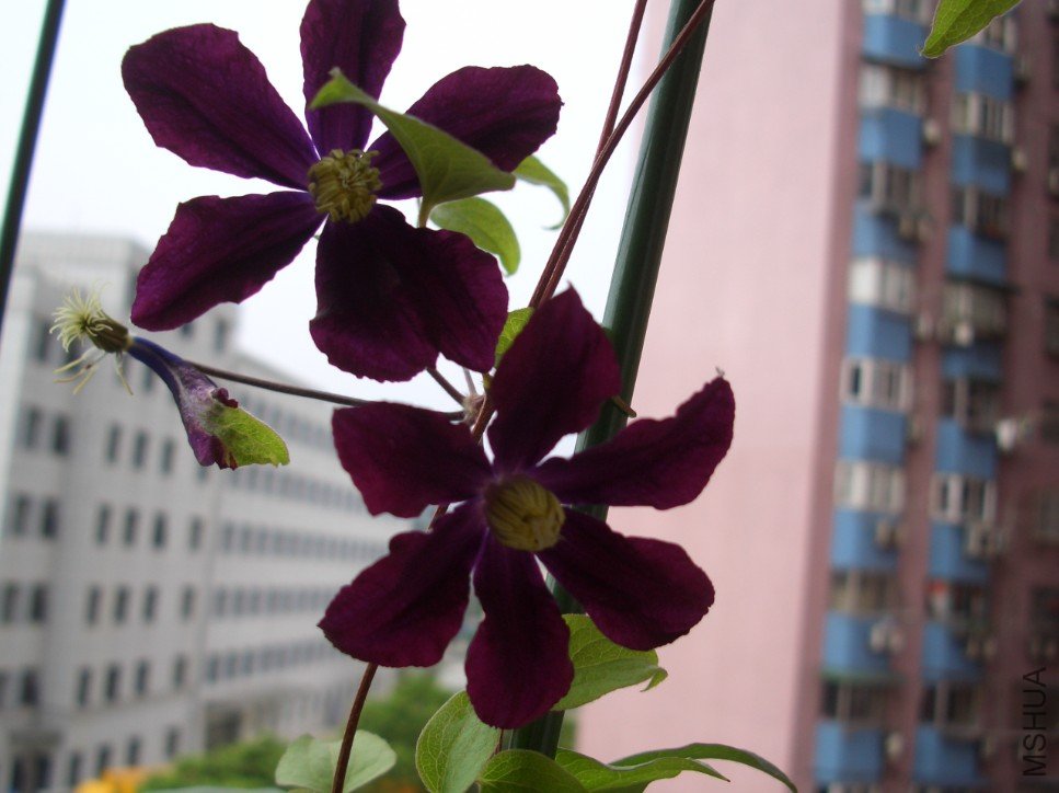 ��ɳŮ�� (3).jpg