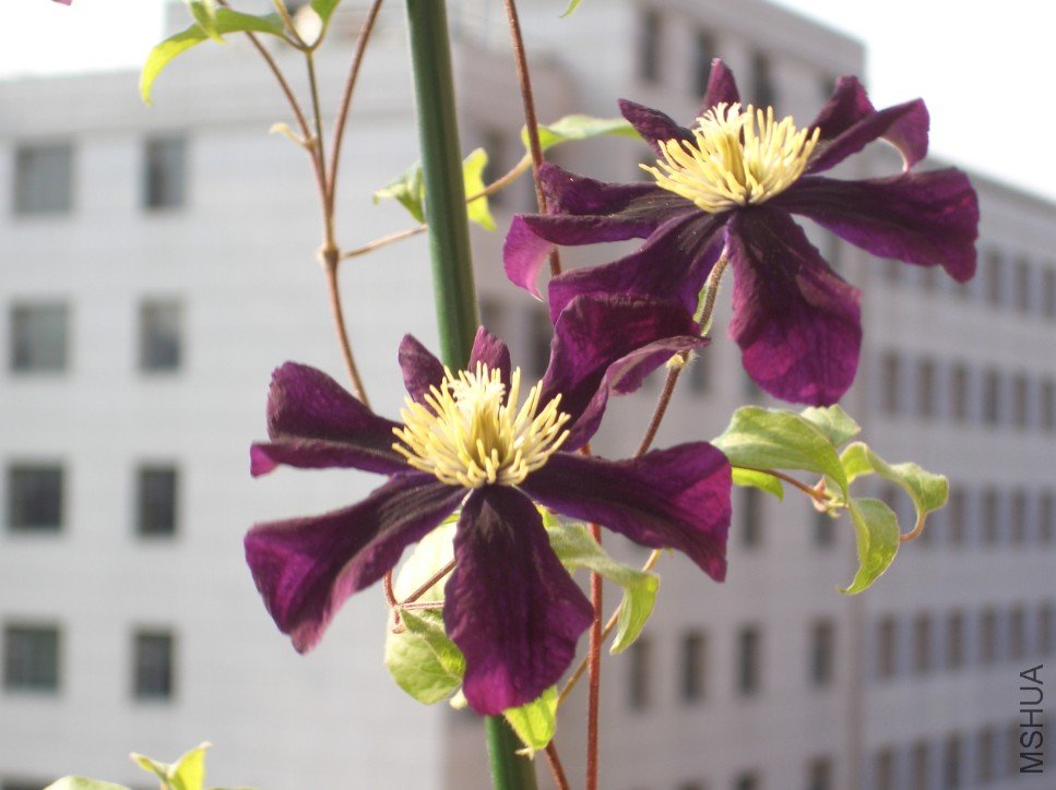 ��ɳŮ�� (4).jpg