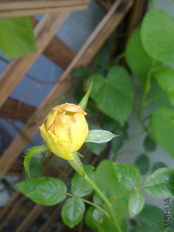 201108291820.jpg