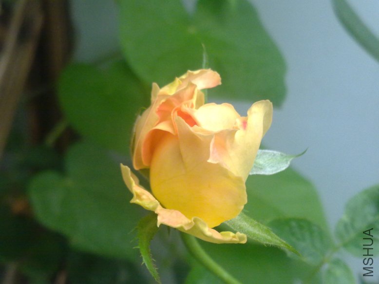 201108301830.jpg
