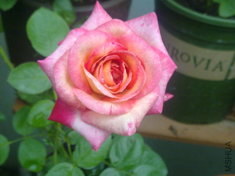 201108301829.jpg
