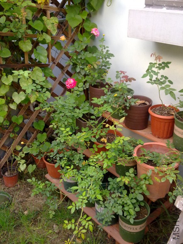 201108311836.jpg