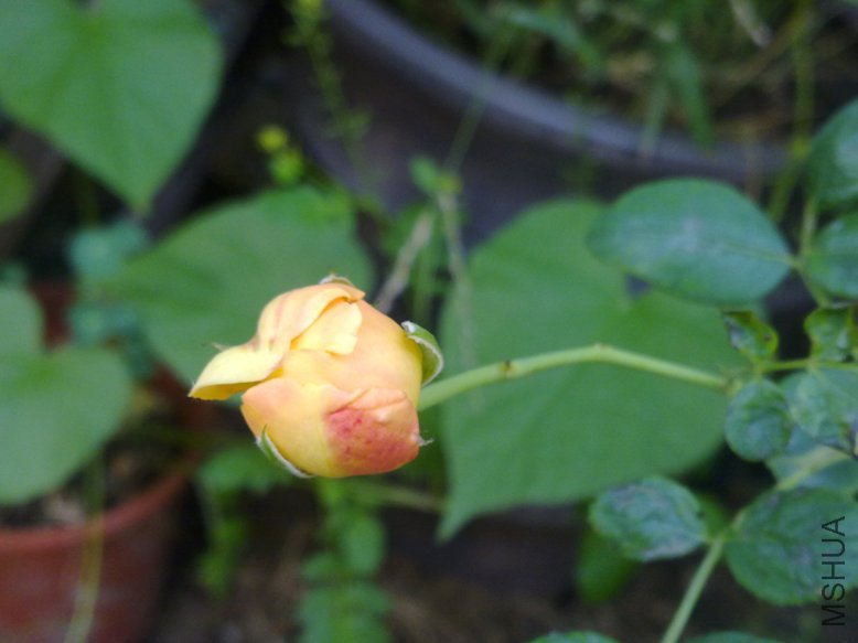 201108311835.jpg