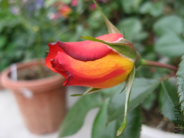10.18 1880294.jpg