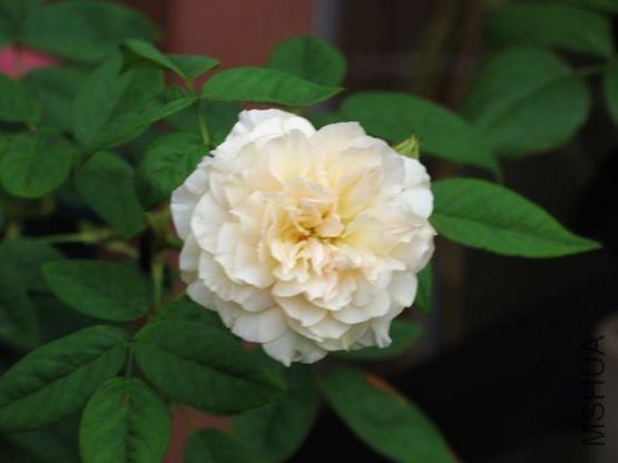 ��Ƭ 075.jpg