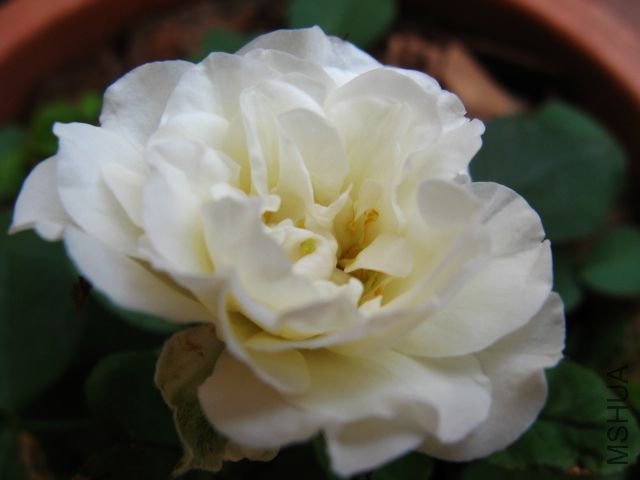 ��Ƭ 023.jpg
