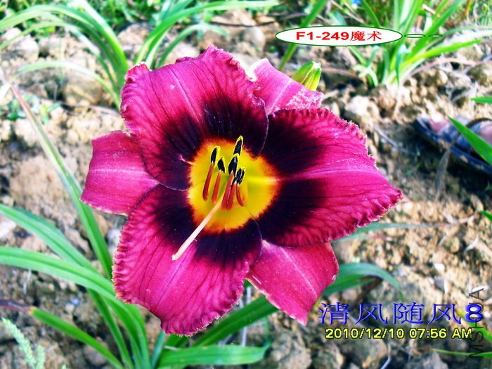 F1-249ħ��1 (1).jpg