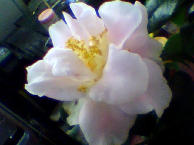 ͼƬ 004.jpg