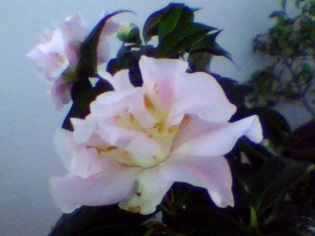 ͼƬ 022.jpg