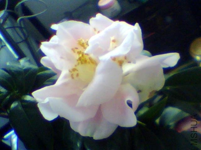 ͼƬ 015.jpg