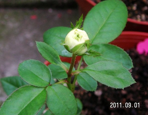 PICT0014.JPG