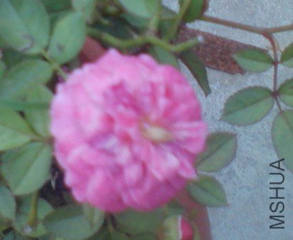 K06Y21J}P73]5{0AQH)YTSL.jpg