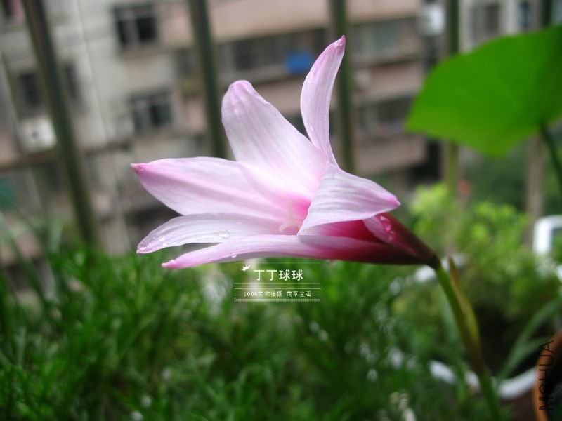 IMG_5433.JPG
