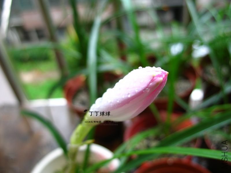 nEO_IMG_IMG_5059.jpg