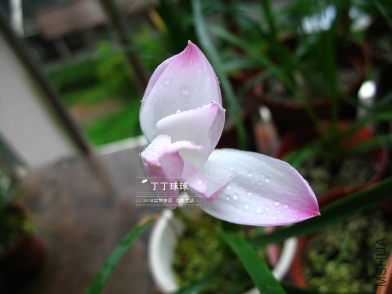 nEO_IMG_IMG_5066.jpg