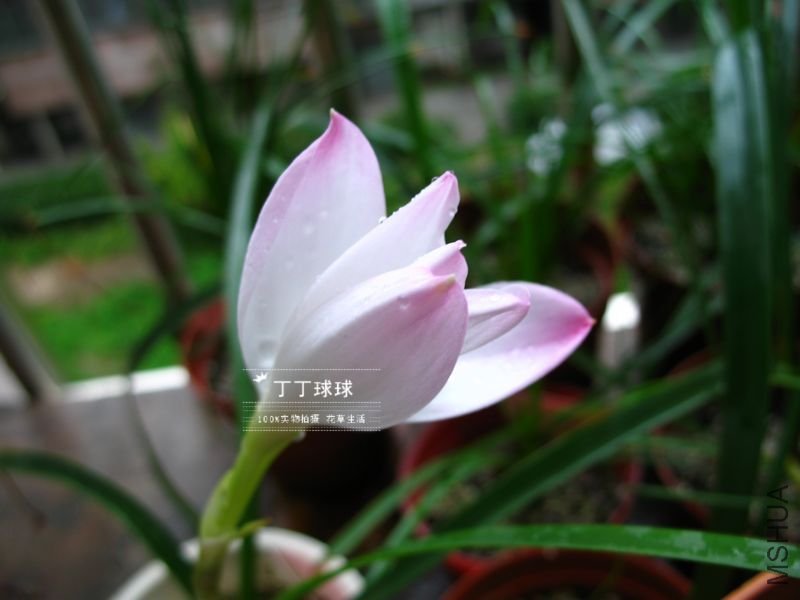 nEO_IMG_IMG_5068.jpg
