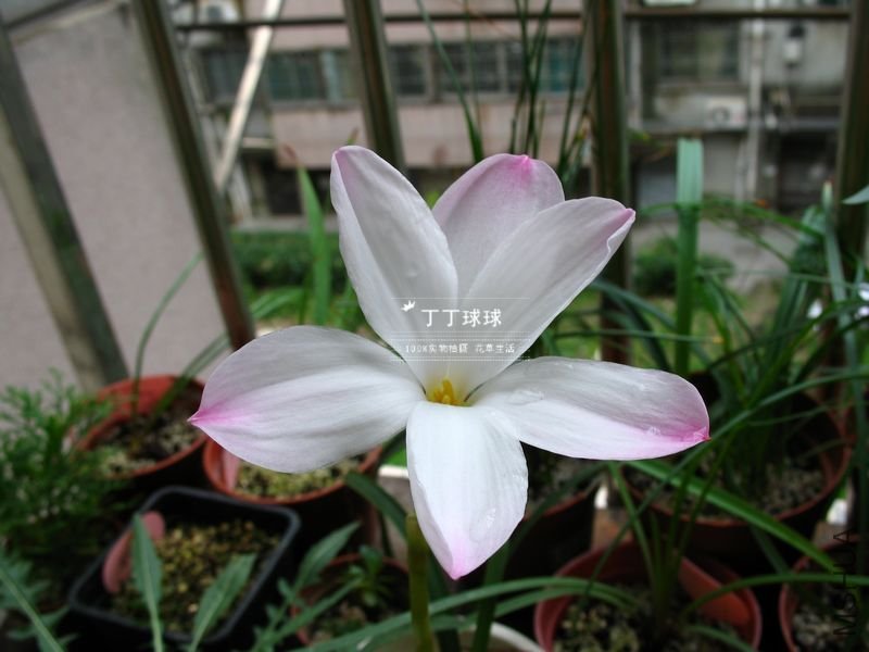 nEO_IMG_IMG_5072.jpg