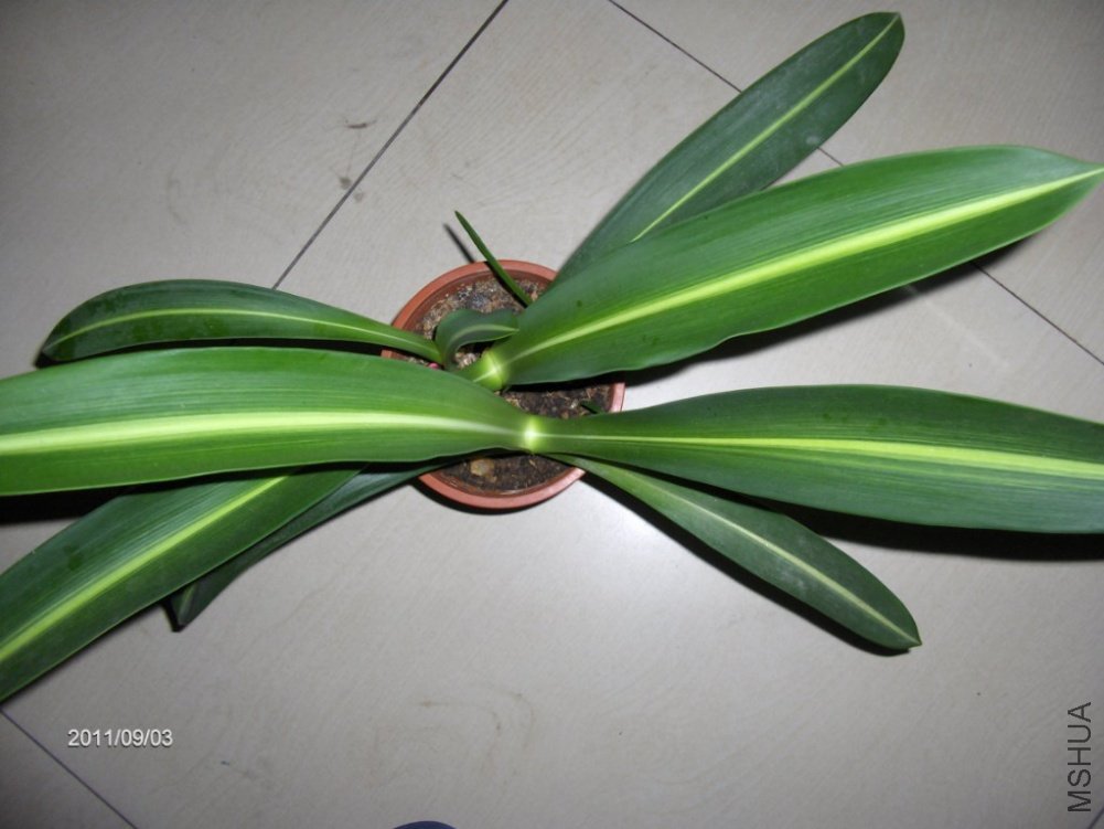 HPIM1426_1024x768.JPG