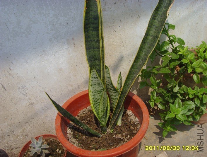 �·���ѿ�Ļ�Ƥ��