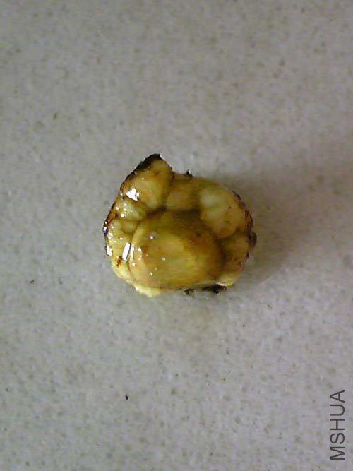 2011.9.4�� (9).jpg