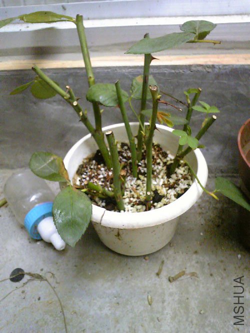 2011.9.4�� (2).jpg