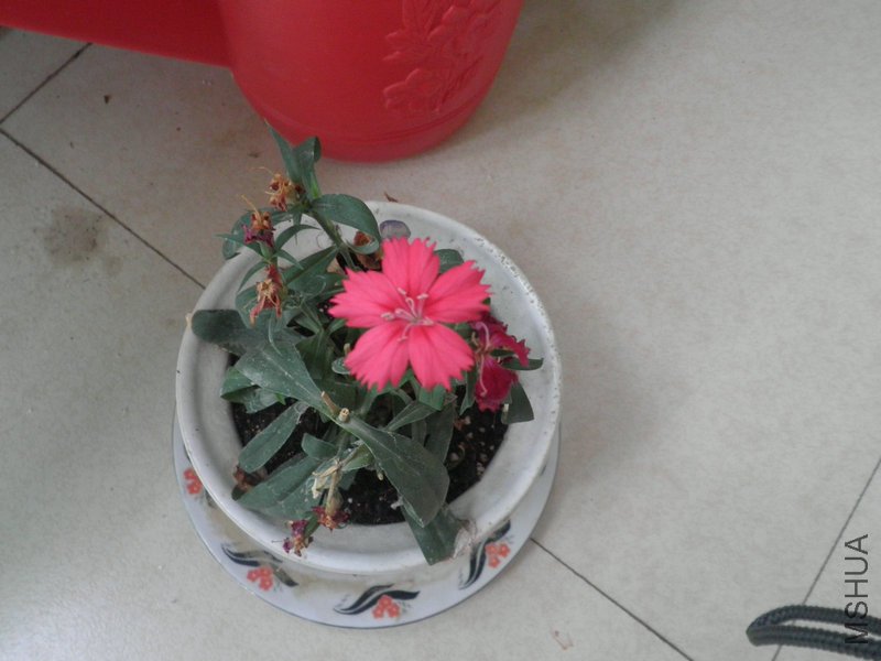 P8250678_����.JPG
