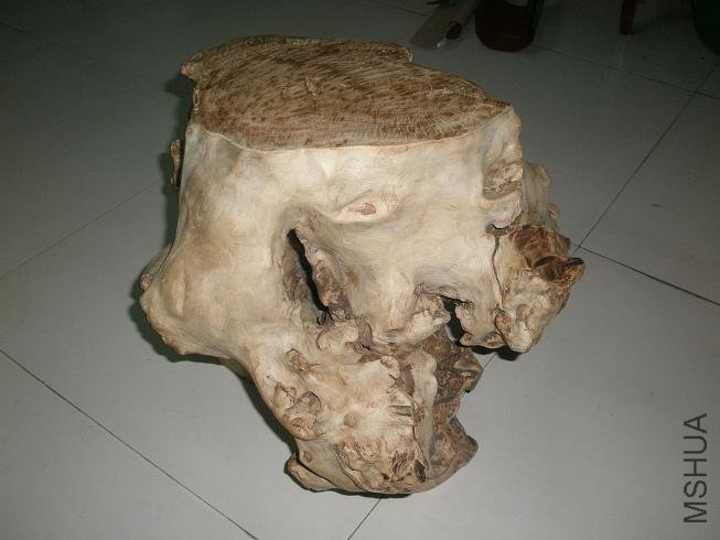 P1014753.JPG