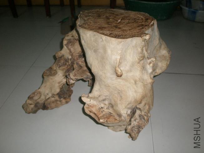 P1014755.JPG
