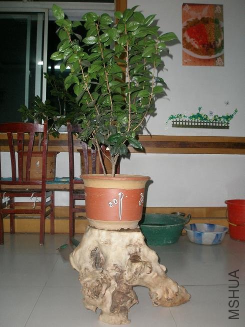 P1014758.JPG
