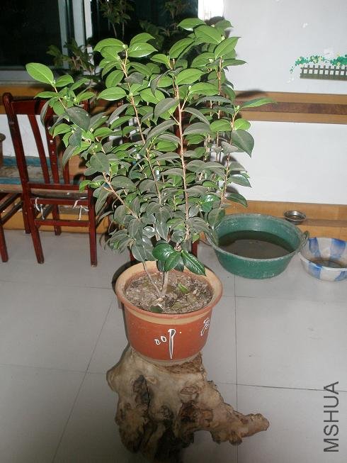 P1014759.JPG