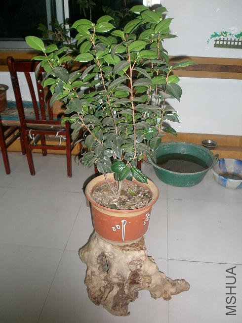 P1014760.JPG